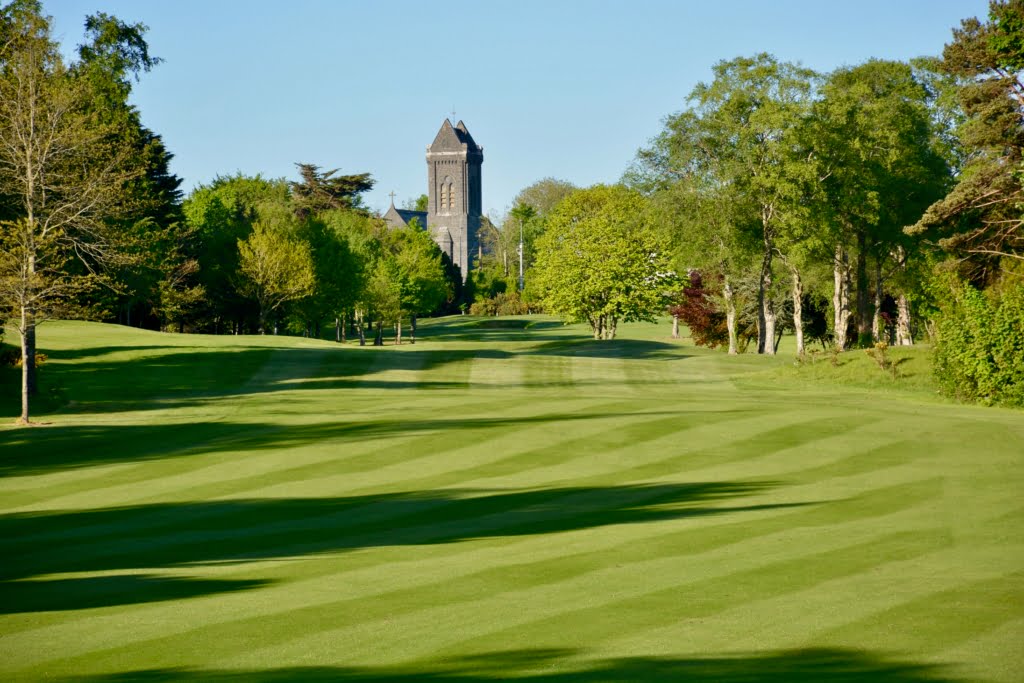 DSC_6202 Castletroy Golf Club, Limerick, Ireland